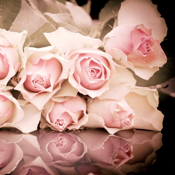 Meet your Posher, Kirana - Picture 4 of 6